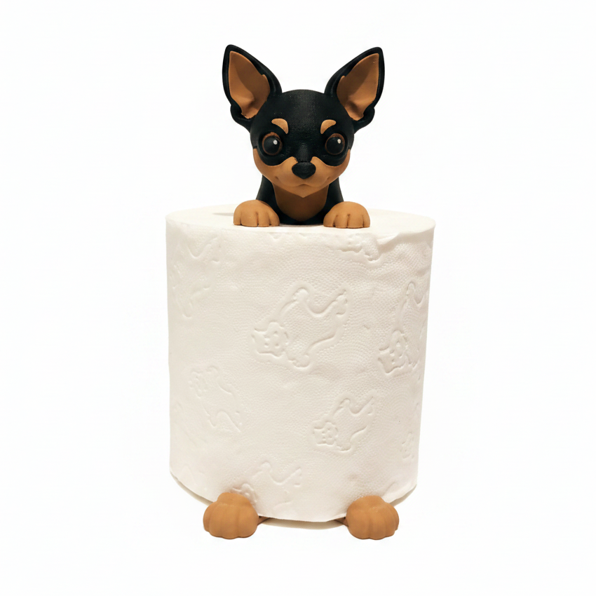 Chihuahua Black & Tan