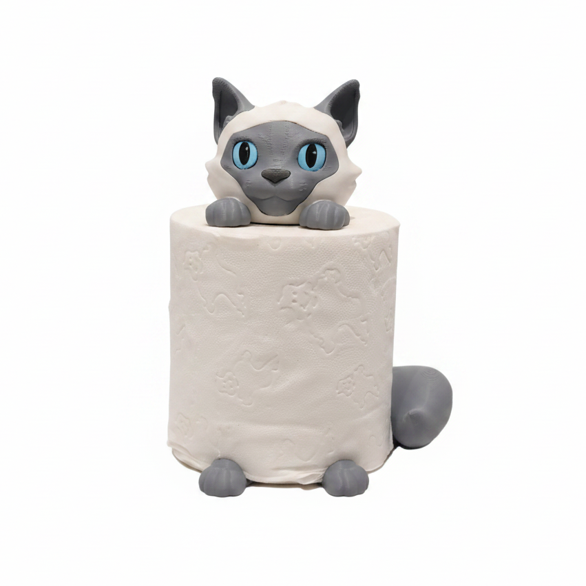 Siamês Gray - Estúdio frontal